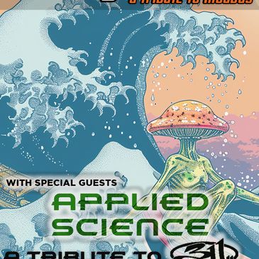 Make Yourself (Incubus tribute) w/ Applied Science (311)-img