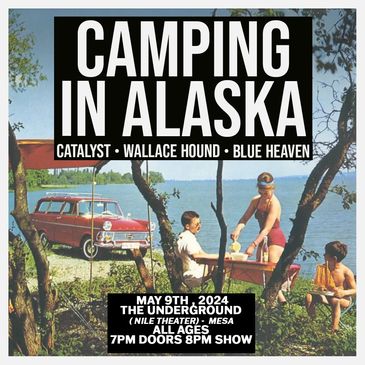 Camping in Alaska - SOLD OUT-img