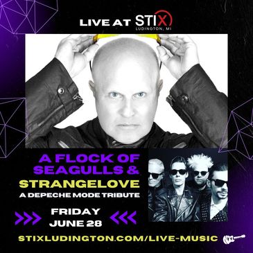 A Flock of Seagulls with Strangelove (Depeche Mode Tribute)-img