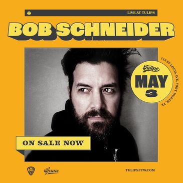 Bob Schneider-img