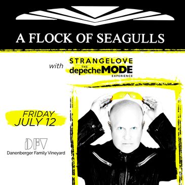 Cancelled: A Flock of Seagulls-img
