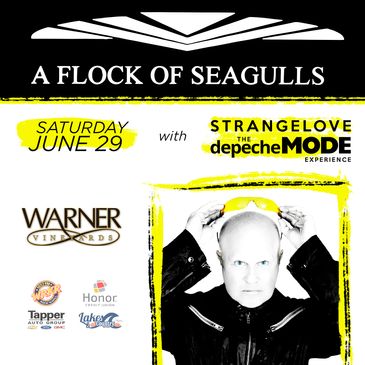 A Flock of Seagulls with Strangelove (Depeche Mode Tribute)-img