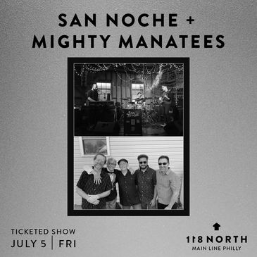 San Noche + Mighty Manatees-img