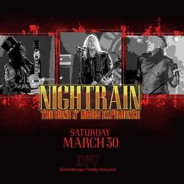 Nightrain: The Guns N' Roses Tribute Experience-img