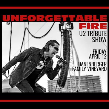 U2 Tribute - Unforgettable Fire-img